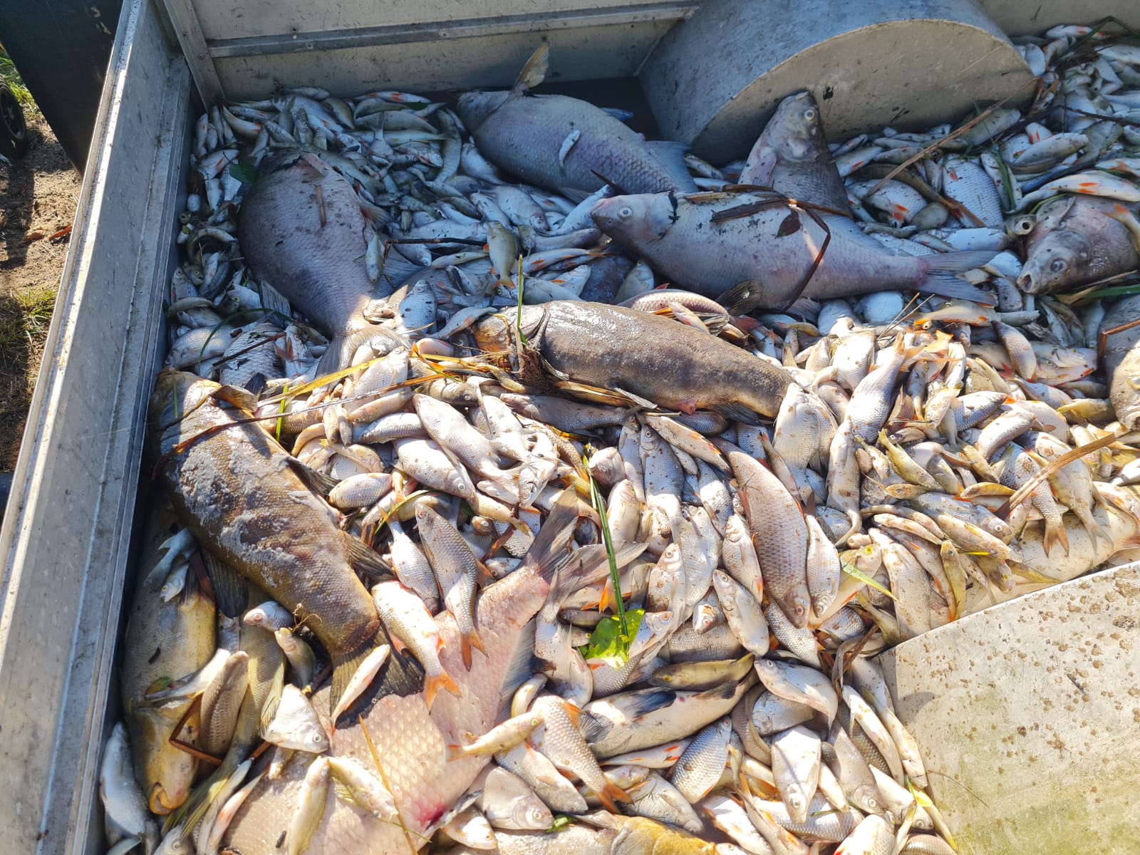 Sauerstoffmangel 2023